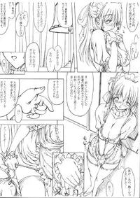 (C63) [MUSASABIDO (Bakuchin)] Research of a maid