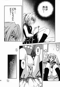 [S-Plus (SHIYAMI)] Hime no Kyuujitsu (Black Cat)