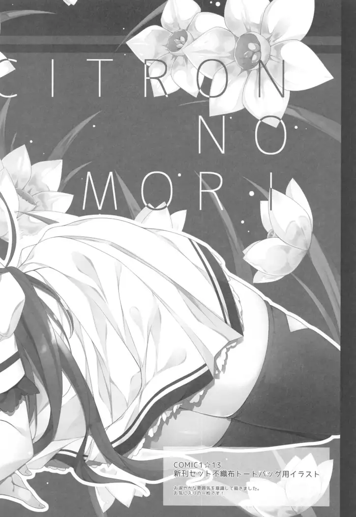 Kimi wa Boku dake no Tenshi -Junai Hen-