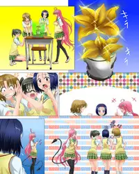 [Carrot] Okugai de Soap-Ru Joukan (To LOVE-Ru)