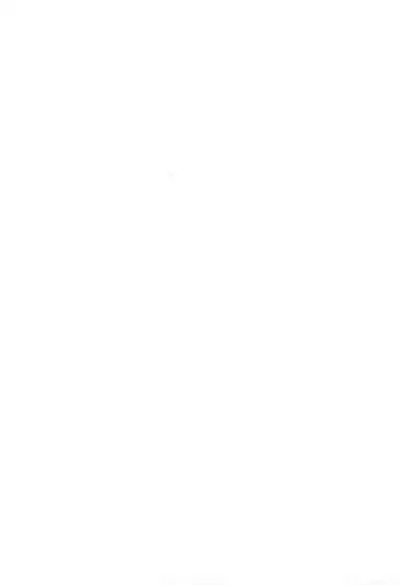 Oyasuminasai no Sono Ato ni.