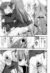 [Nippori] Daisy Blue