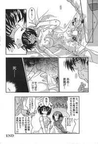 Men's Dolphin 2000-11 Vol. 15