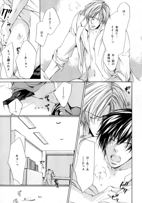 b-BOY Phoenix Vol.11 Shiroisha Tokushuu