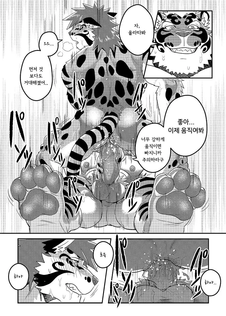 Nekojishi EXTRA | 네코지시 EXTRA