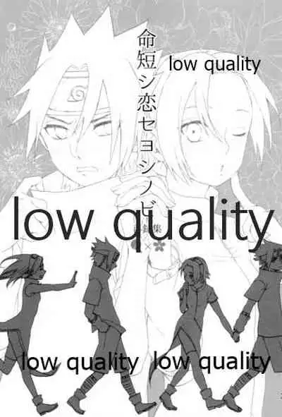 Inochi Mijikashi Koiseyo Shinobi Sairokushuu