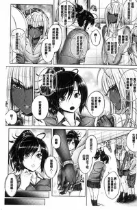 [Otone] Anethurium [Chinese]