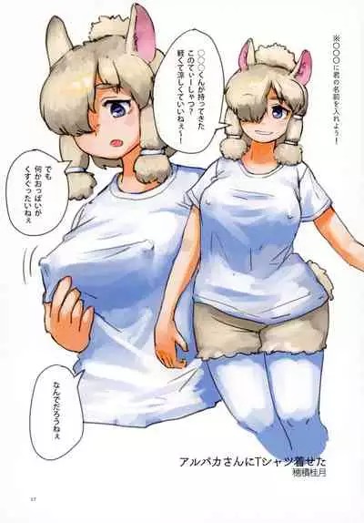 Fuwaaa! Irasshaai! Ura Iyashi no Alpaca-san Goudou