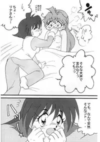 [Ginmomodou (Mita Satomi)] Slayers Adult 8 (Slayers)