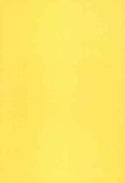 Fun House 11th SNAP SHOT