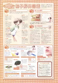 Canvas Sepia iro no motif Visual Fan Book