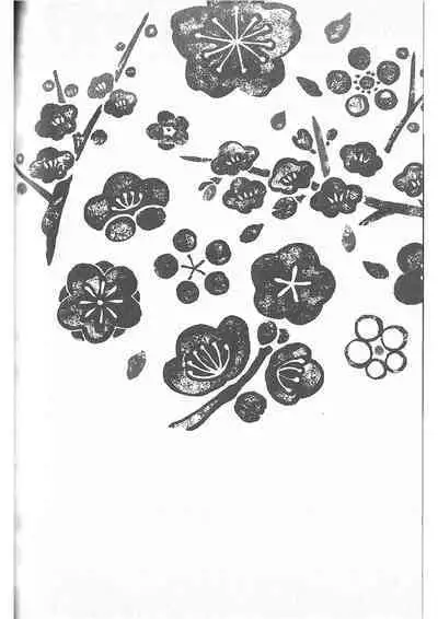 Ake no Fukuro Kouhen | 破晓之枭后篇