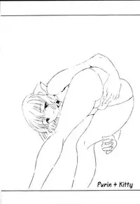 [St. Rio (Kitty, Purin, Tanataka)] AVIVA (Chobits) [English]