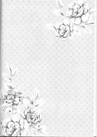 (C75) [Pierre (Garakuta Sochi)] Dream Passport (Naruto)[English] [Squigglesjp]ongoing