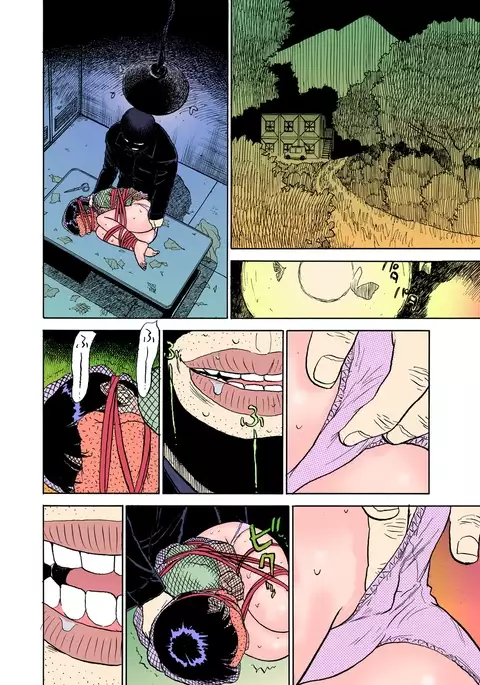 ABDUCT～Ike Nai Shiiku Kansatsu ～