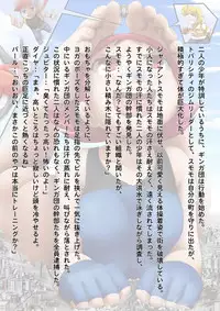 [Ting Fong Jiu Si Yu] Haisensha Zukan PLUS (Pokémon)