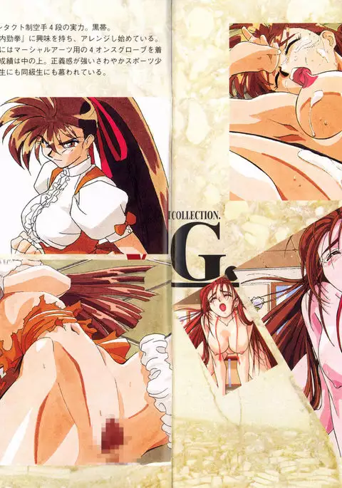 V.G.Perfect Collection Illustrations