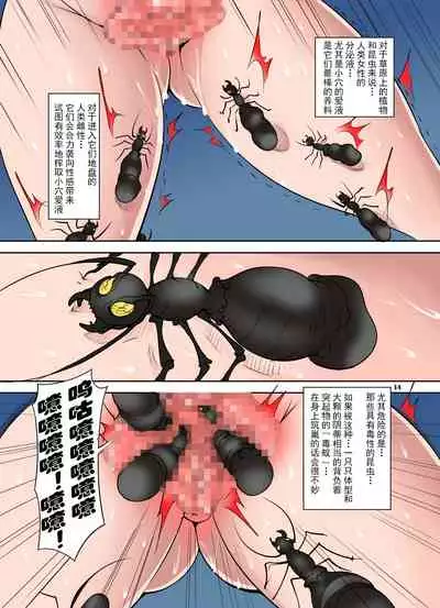 Quest of Curse Dai 2-shou