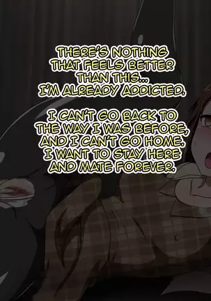 Kusogaki Island: Always New