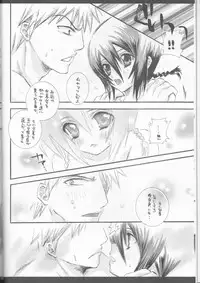 (C70) [PONCHEES (KARI) (Irohane Sui)] Rukia Kuchiki Minimum Maniax File (BLEACH)