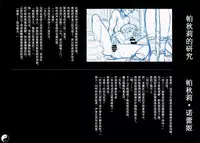 (C86) [Chroma of Wall (saitom)] Gensoukyou Inkou Kirokushuu (Touhou Project) [Chinese] [烂肉X伞尖]