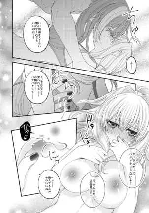 Supāku 14 shinkan sanpuru sample