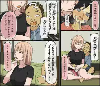 Boku wa Natsuki o nēchan to sekkusu dekinai