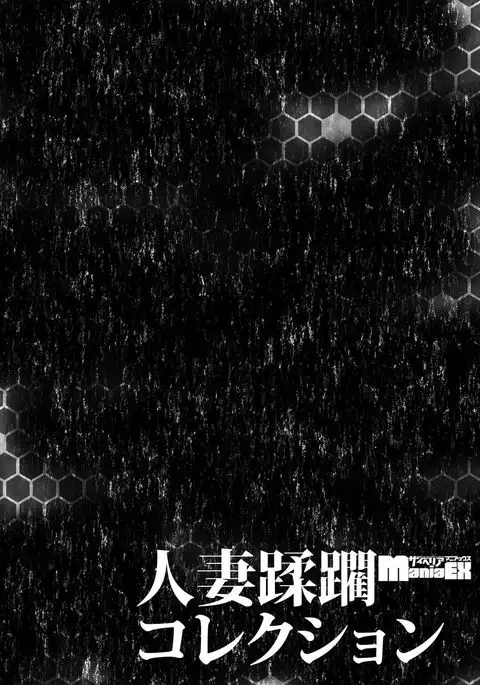 Cyberia Maniacs Hitozuma Juurin Collection Vol.2