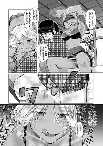 Ginjoku Quest. Otome Zenryoku Koubi Senki