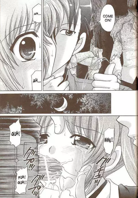 Nanoha no Zettai Zetsumei S+