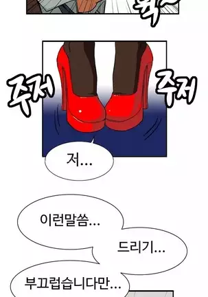 Chauffeur Service Ch.1-30.5