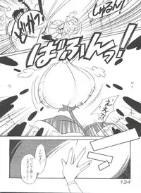 [Anthology] Shining Legend (Magic Knight Rayearth)