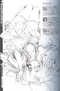 (CR31) [Magic Private Eye (Mitsuki Mantarou)] Rough Rough Book XP