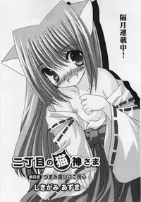 [ShikigamiAzuma]God Chome cat