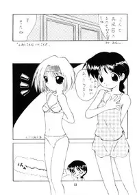 (C49) [LOLIC SYSTEM] PETANSHIP