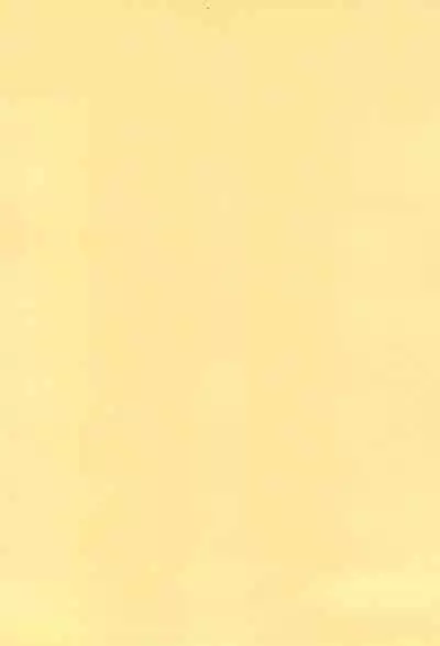 Minnaigai no Neta vol.2