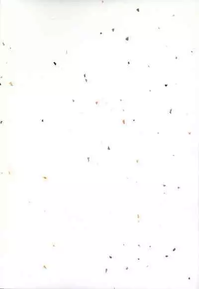 Crescent Moon Palette (Nana Irie/Yukiyo Kusaki) BLACK NOISE