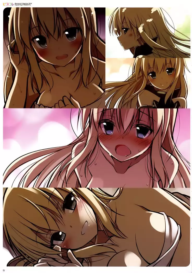 BisColle -Bismarck Collection 2014-