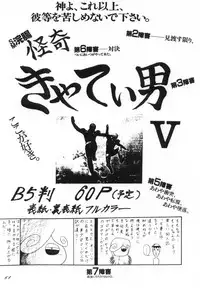 [D-Heiba] Cat's Mate RX