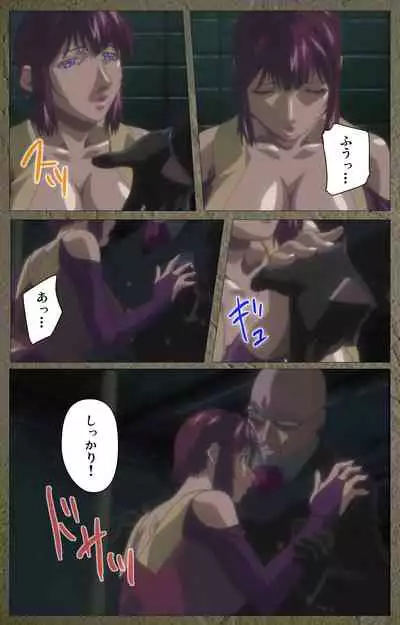 Shin Bible Black kanzenhan