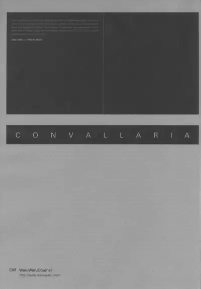CONVALLARIA