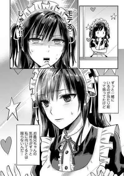 COMIC Ananga Ranga Vol. 69