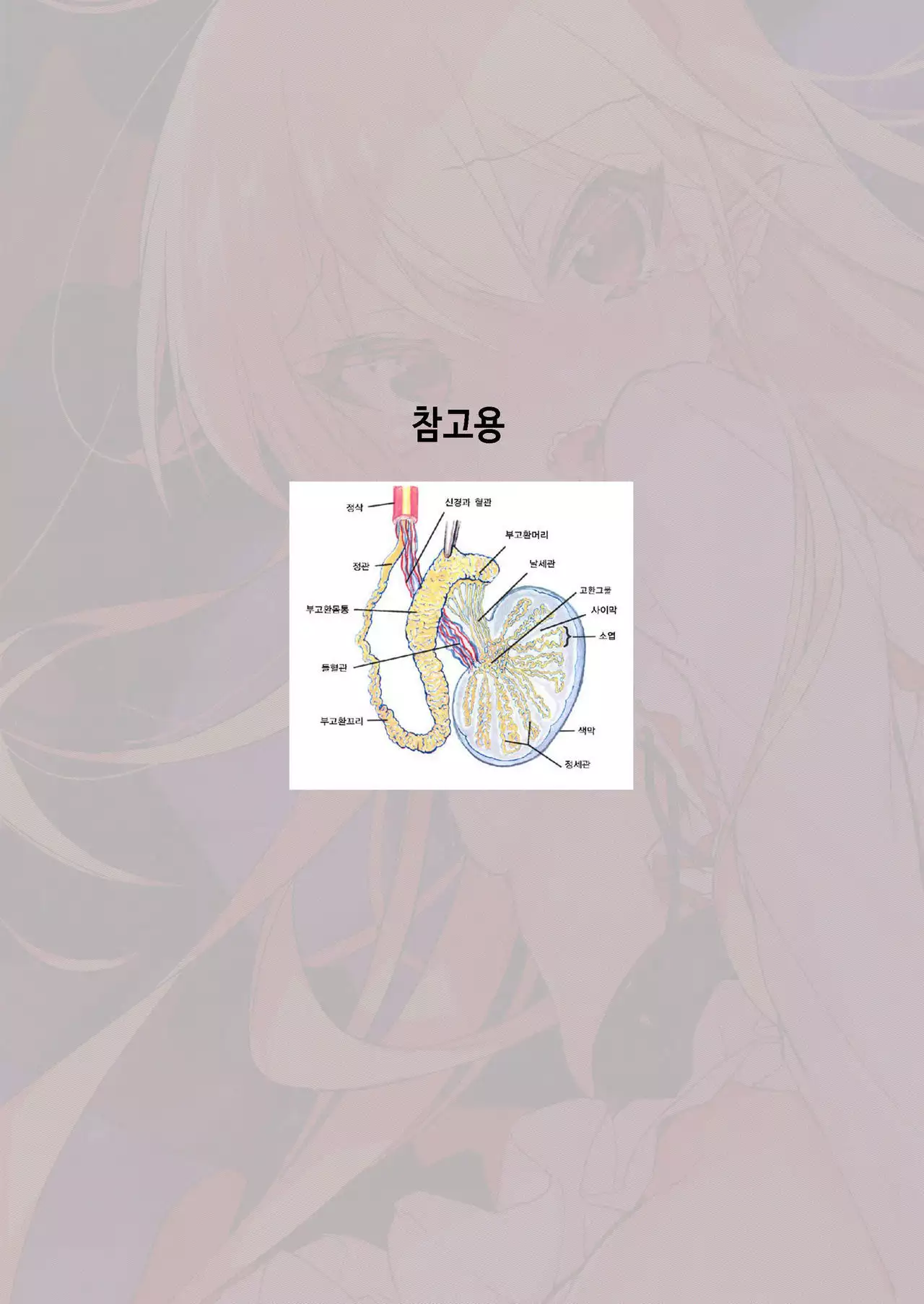 Kyou no Present wa ♥♥♥ da!!