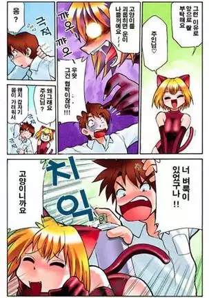 hirotte! koshujinsama