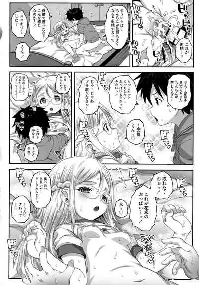 Soutaisei Virgin Theory