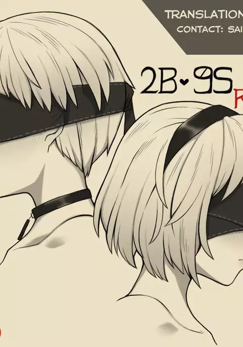 2B 9S