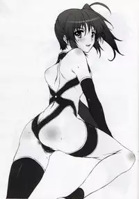 (C81) [BRIEST (Yatsushima Tetsuya)] LMR/14 (Mahou Senki Lyrical Nanoha Force)