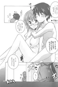 (C81) [Maruarai (Arai Kazuki)] ER (Infinite Stratos)