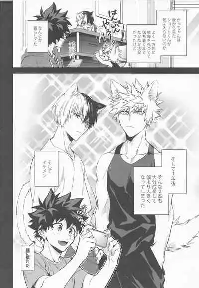 Pet-sama no Iu toori +