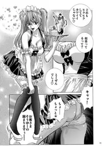 (COMIC1☆9) [Human High-Light Film (Shiosaba)] Mari Rei Asuka (Neon Genesis Evangelion)